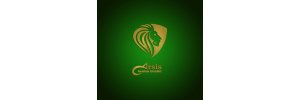 Arsis Vip Transfer ve Araç Kiralama
