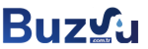 Buzsu