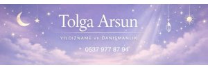 Tolga Arsun